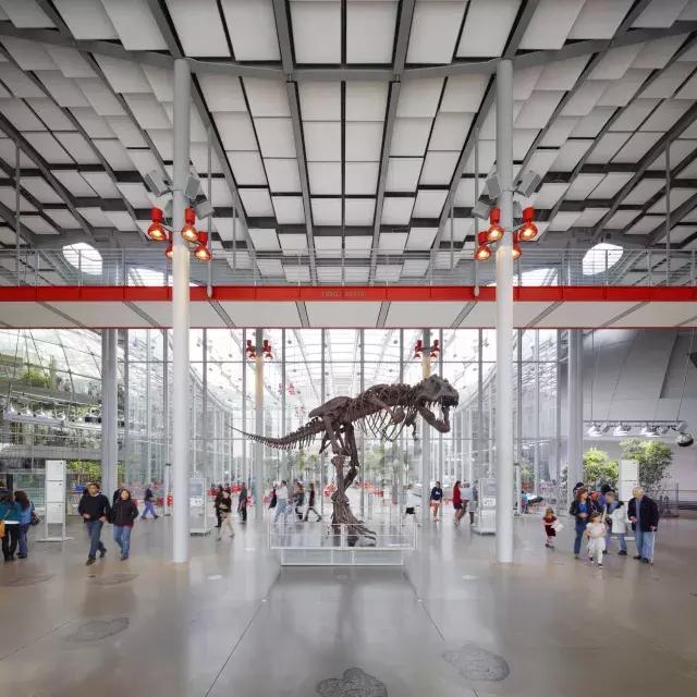 Dinosauro presso l'Accademia delle Scienze della California